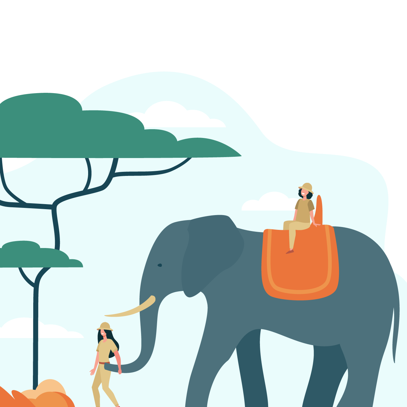 rode on an elephant